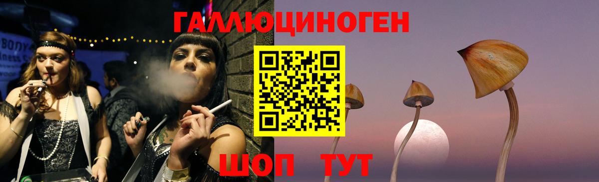 Псилоцибиновые грибы Psilocybe  Вход с VPN  купить наркотики цена  Чебоксары 